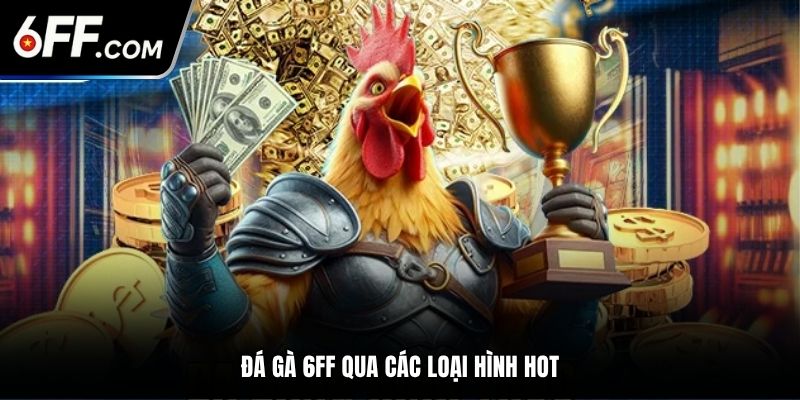 Đá gà 6FF qua các loại hình hot