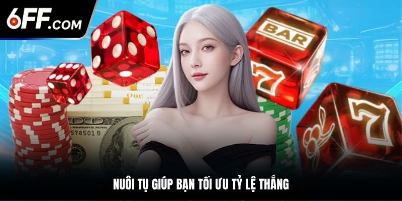 Nuôi tụ giúp bạn tối ưu tỷ lệ thắng
