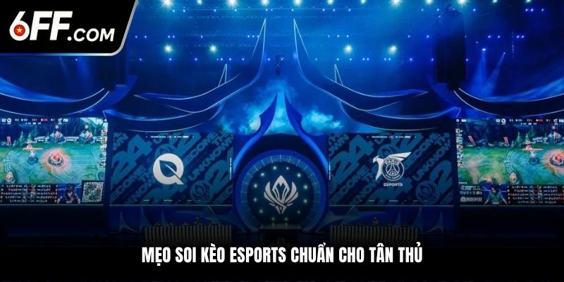 Mẹo soi kèo Esports chuẩn cho tân thủ